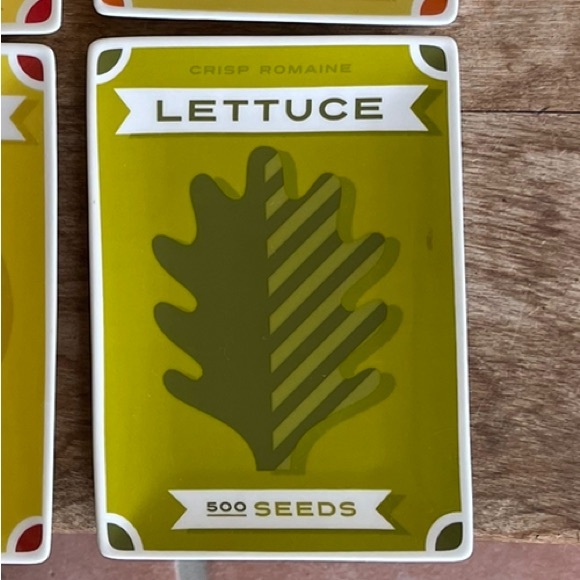 CRATE & BARREL 6 Small Plates for Gourmet Dishes Vegetables Fruits Picture Nice! - Picture 8 of 11